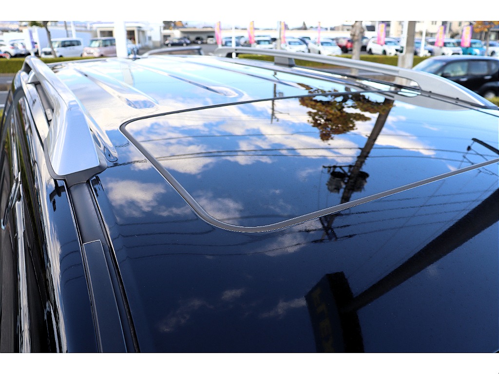 サンルーフにルーフレール完備！