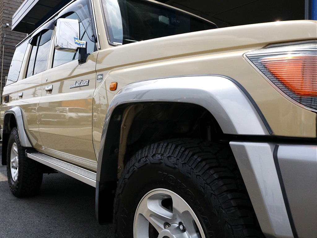 オーバーフェンダー付き