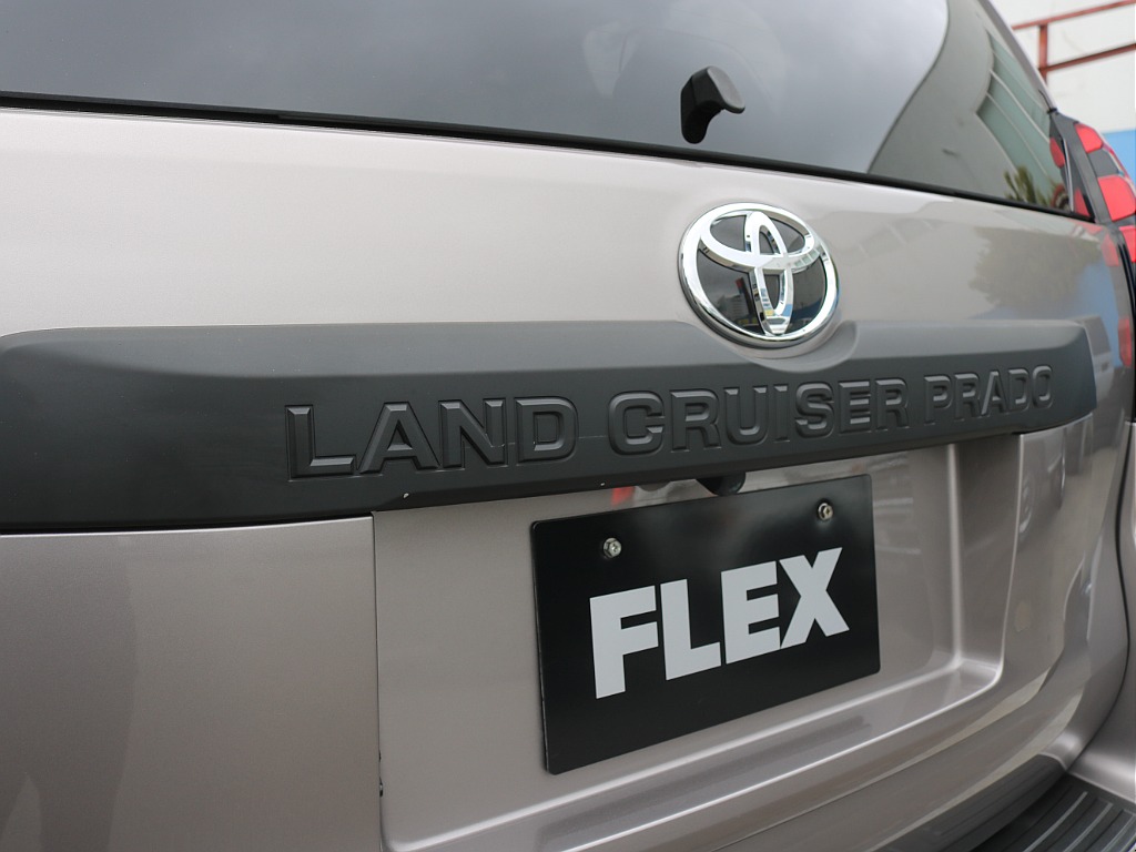 リヤオーナメントもマットブラック仕様！