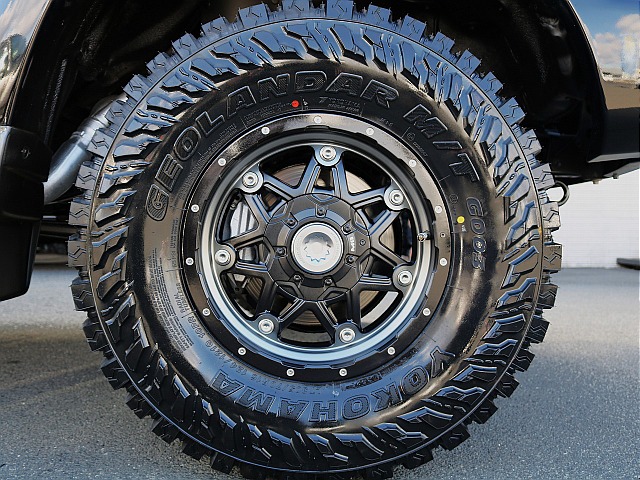 MGライカン×ジオランダーM/Tセット！かっこよく決まっております！