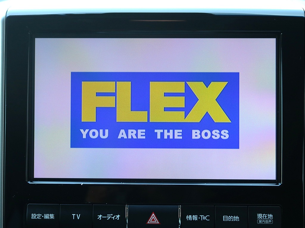マルテレインモニター！