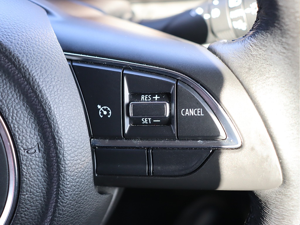 クルーズコントロール！