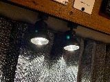 ＢＥＬＵＧＡ標準装備　スポットライト♪