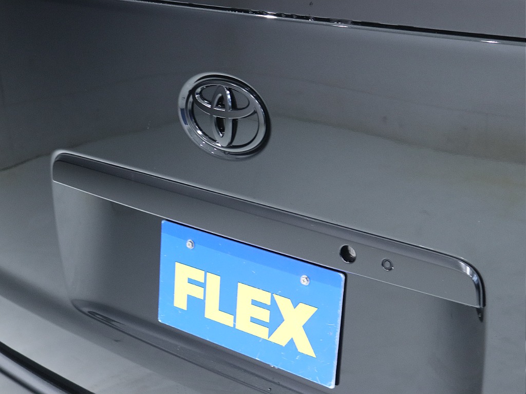 エンブレムもブラックアウト！