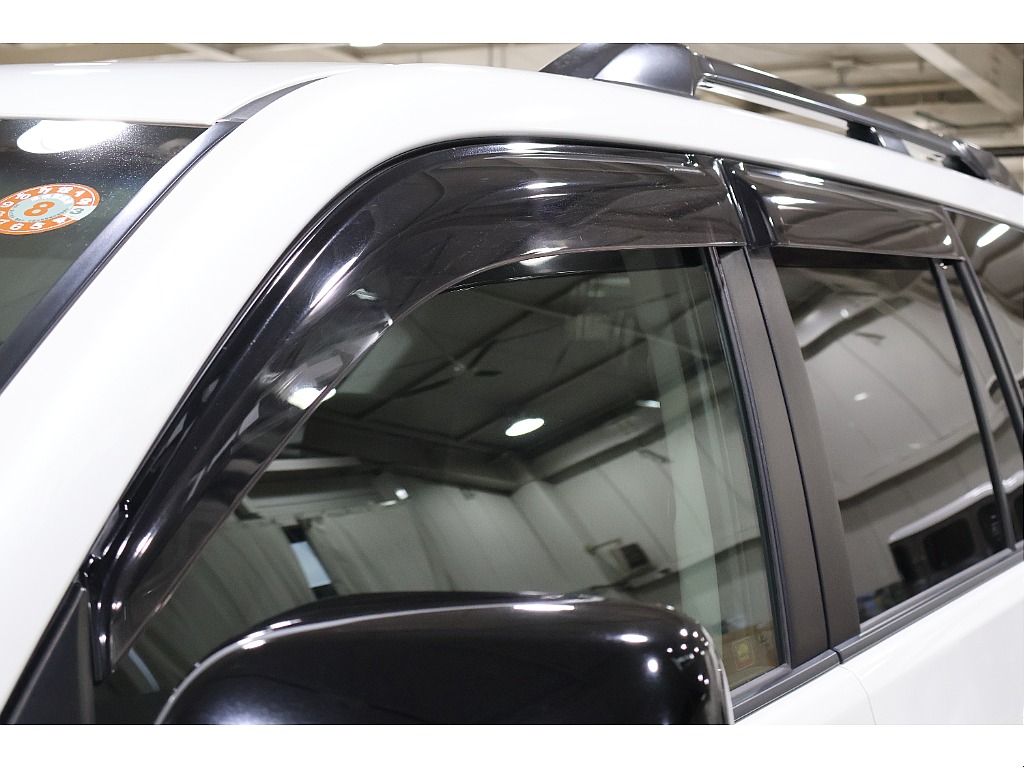 ドアバイザー付き