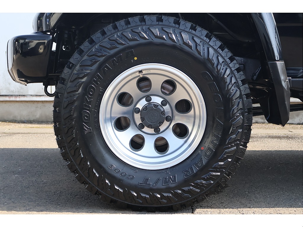 新品ジムラインタイプ２×ジオランダーMT