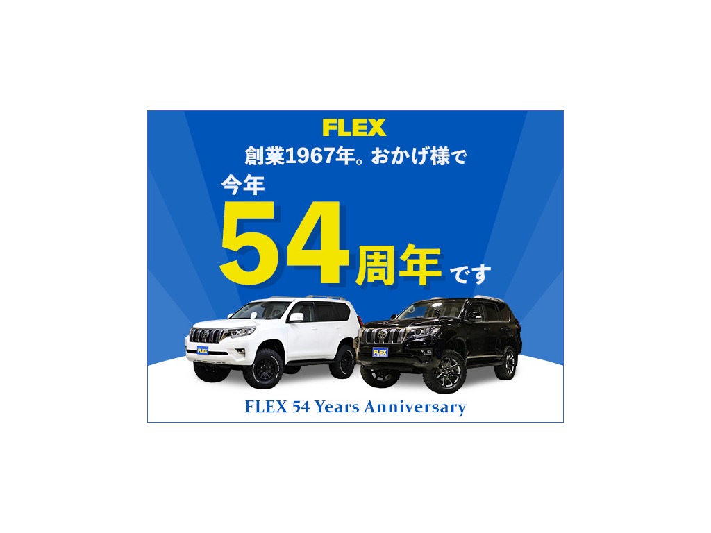 トヨタ ランドクルーザー80(30枚目)