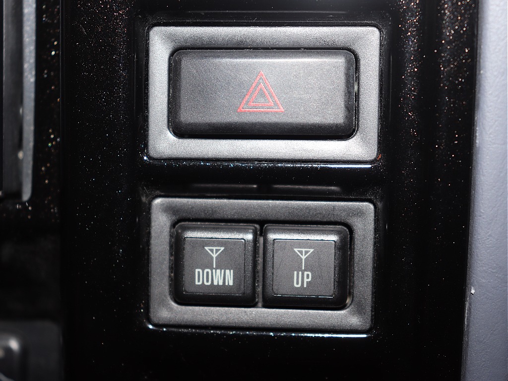 Renocaカラーボム×レクサススターライトブラックガラスフレークペイント【全国納車可能】