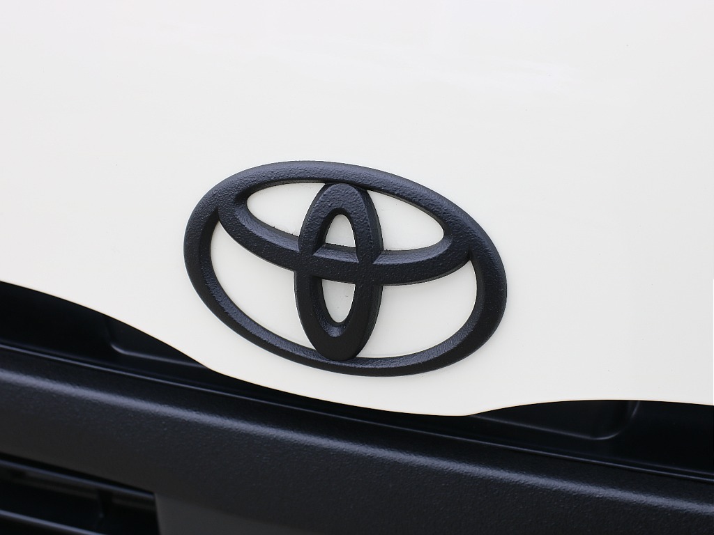 フロントエンブレム ラプター塗装！！