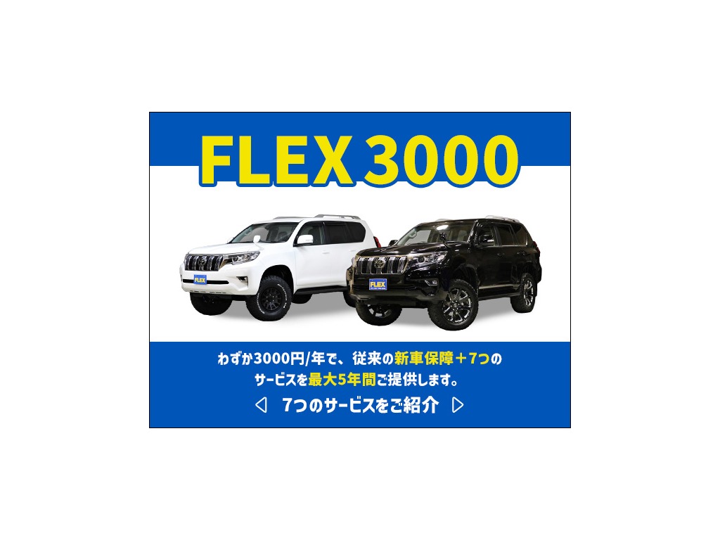 トヨタ ハイラックス 4ドア2.4Zディーゼルターボ 4WD  北海道の詳細画像 その20