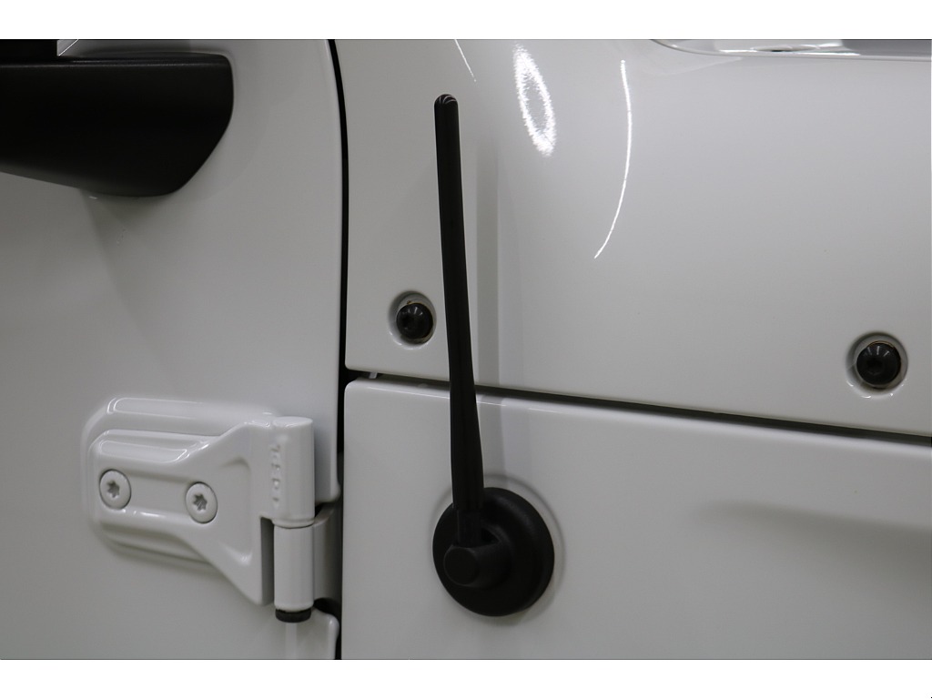 ショートアンテナ☆