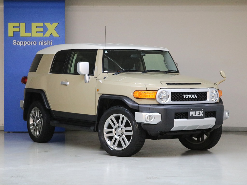 ベージュカラー☆オプションフォグランプ☆サイドステップ☆寒冷地仕様☆リヤワイパー☆カラーパッケージ純正２０インチＡＷ☆