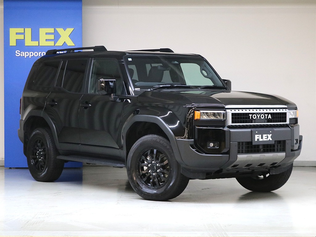 ２０２ブラック☆リフレクター式３眼ＬＥＤヘッドランプ☆ＬＥＤデイタイムランニングランプ☆リヤバンパーガード☆リヤスポイラー☆ ルーフレール☆