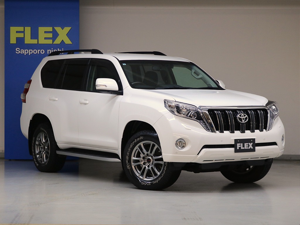 スーパーホワイトⅡ☆ＬＥＤヘッドランプ☆オプションフロントグリル（ブラックメタリック塗装）☆イルミ付きサイドステップ☆ルーフレール（ブラック）☆