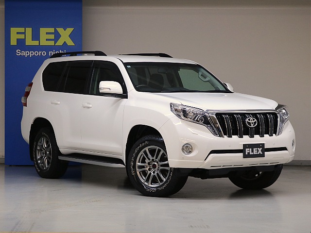 スーパーホワイトⅡ☆ＬＥＤヘッドランプ☆オプションフロントグリル（ブラックメタリック塗装）☆イルミ付きサイドステップ☆ルーフレール（ブラック）☆