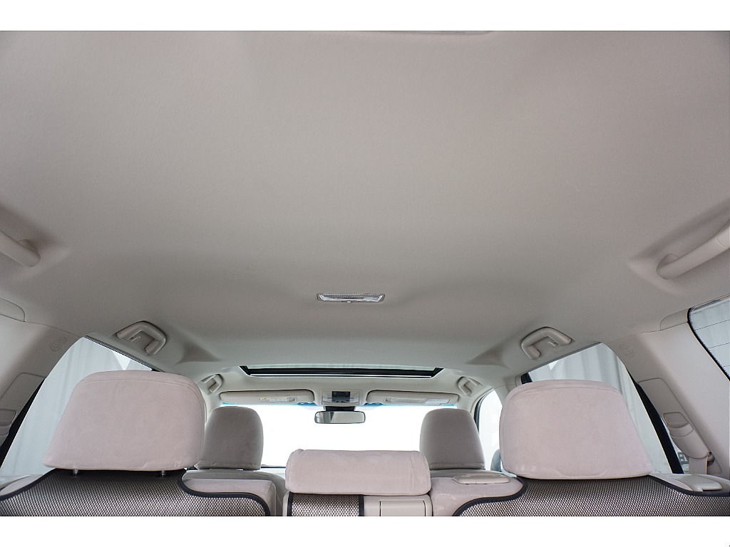 天張りになります☆