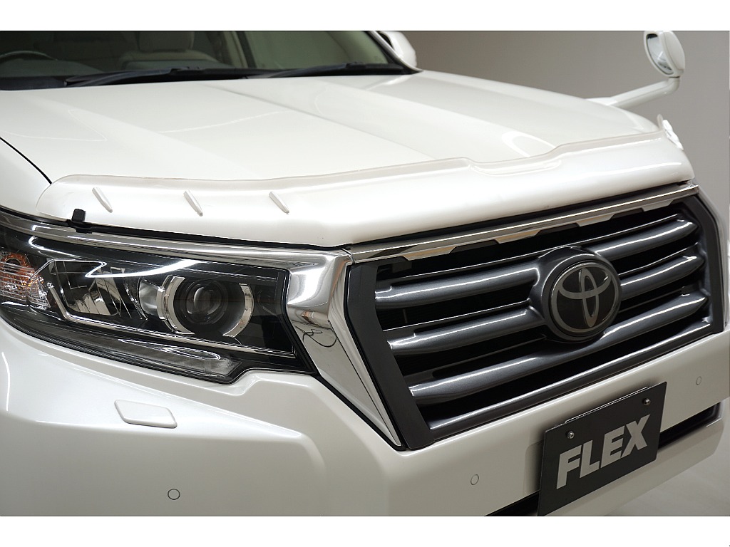 エルフォード製フロントグリル☆バグガード☆