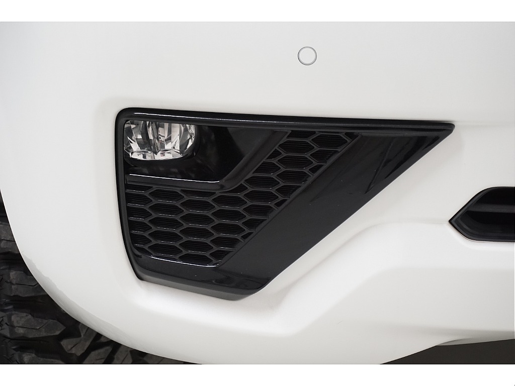 フォグランプガーニッシュ（ブラックエディション）☆