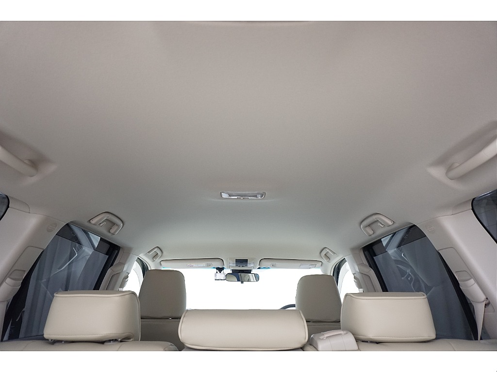 天張りになります☆