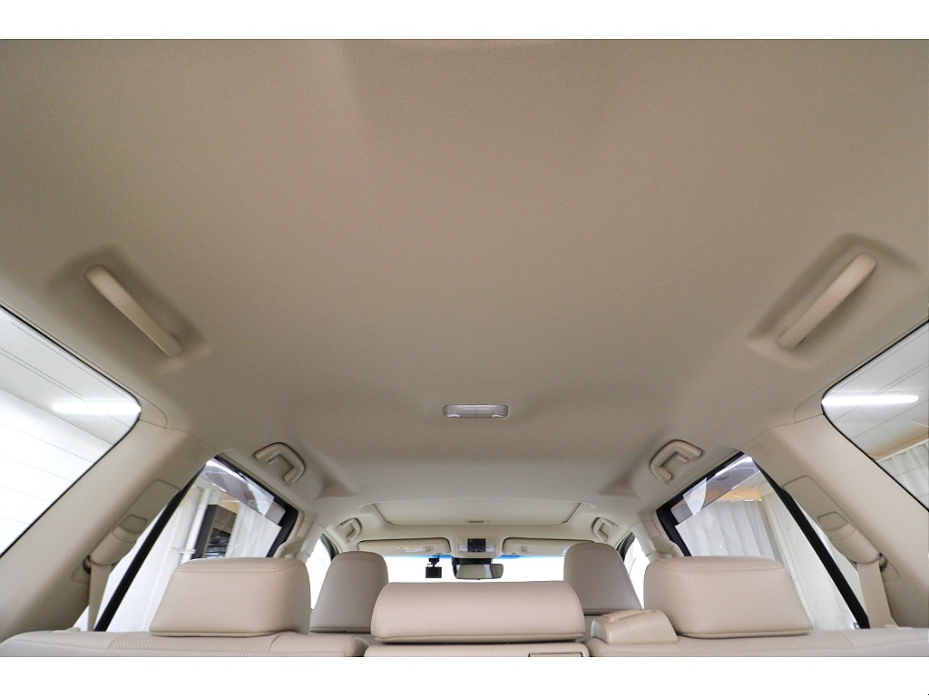 天張りになります☆