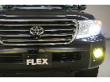 １ナンバー登録済み☆２０２ブラック☆グリルブラックペイント☆ヘッドランプクリーナー☆ＨＩＤヘッドランプ☆ＬＥＤフォグランプ☆イルミ付きステップ☆リヤルーフスポイラー☆ガナドール４本出しマフラー☆
