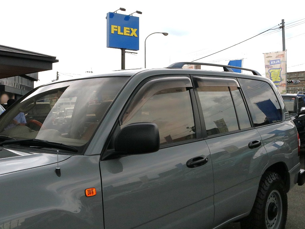 ルーフレール、サイドバイザー付き。