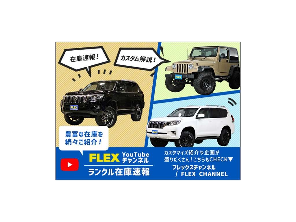 トヨタ ランドクルーザー100(36枚目)