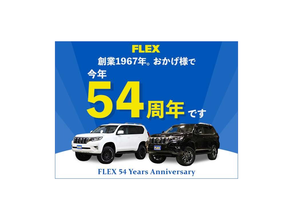 トヨタ FJクルーザー(29枚目)