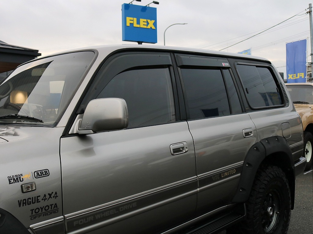 ドアバイザー付き。