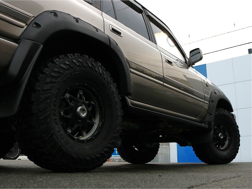 乗り出したくなる姿です。