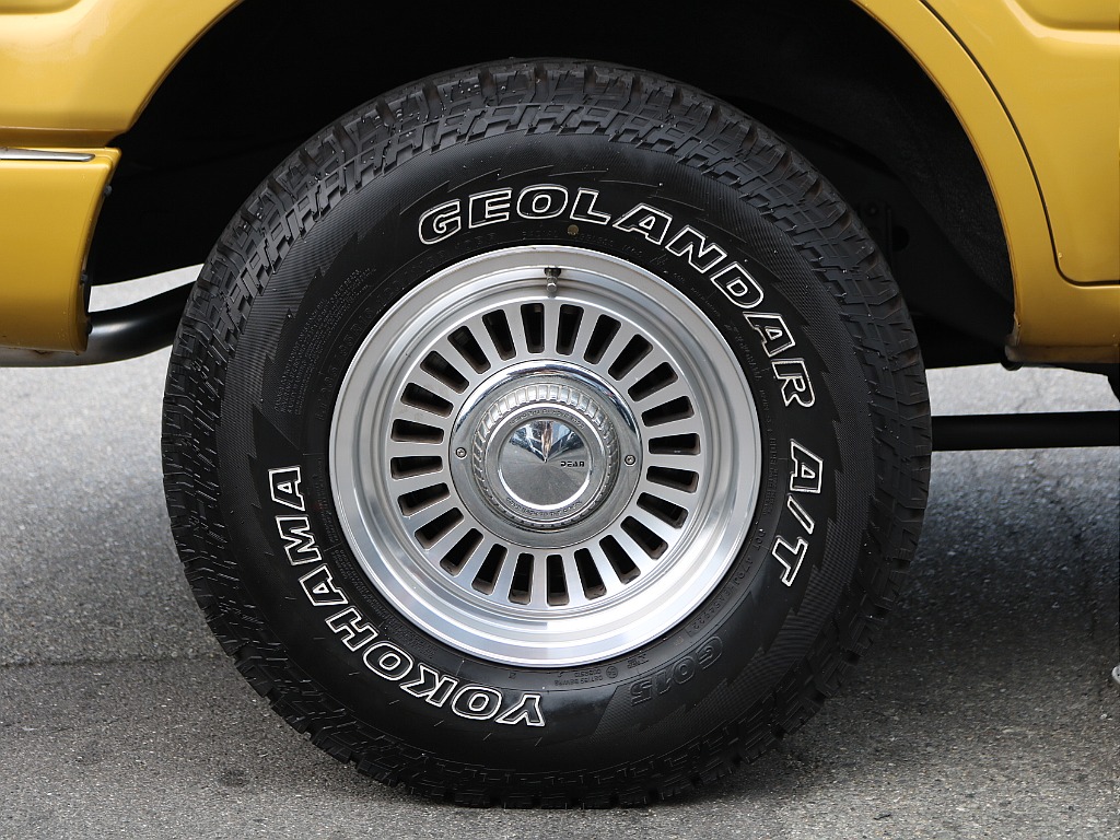 1993 Toyota Land Cruiser 80 