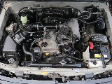 エンジンルームもご覧のように綺麗な状態です。