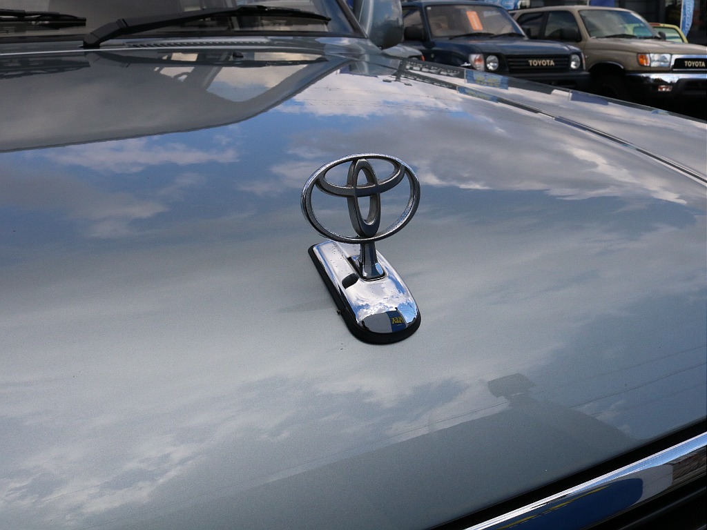 ボンネットエンブレム。