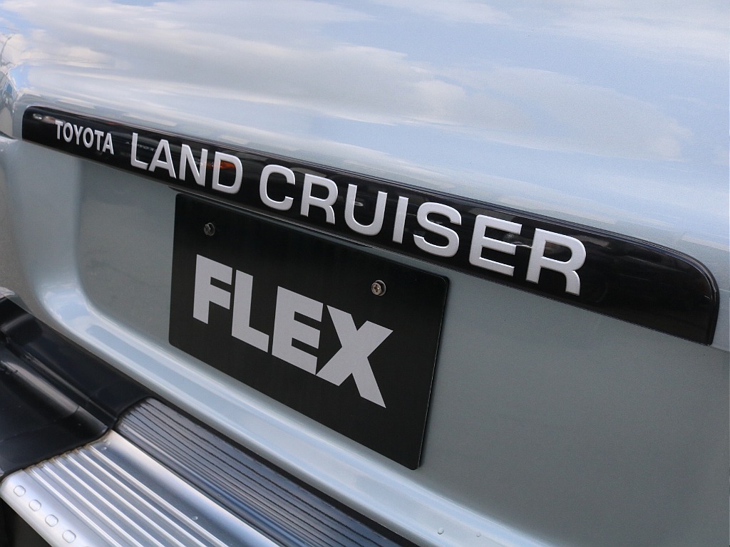 新品リアガーニッシュ。