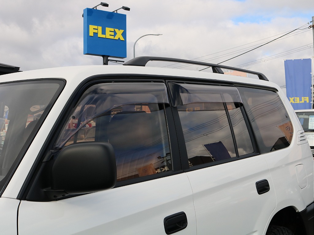 ドアバイザー付き。