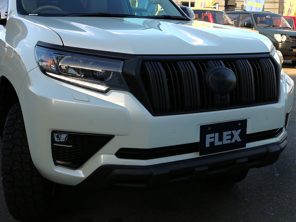 迫力のあるフロントフェイス。