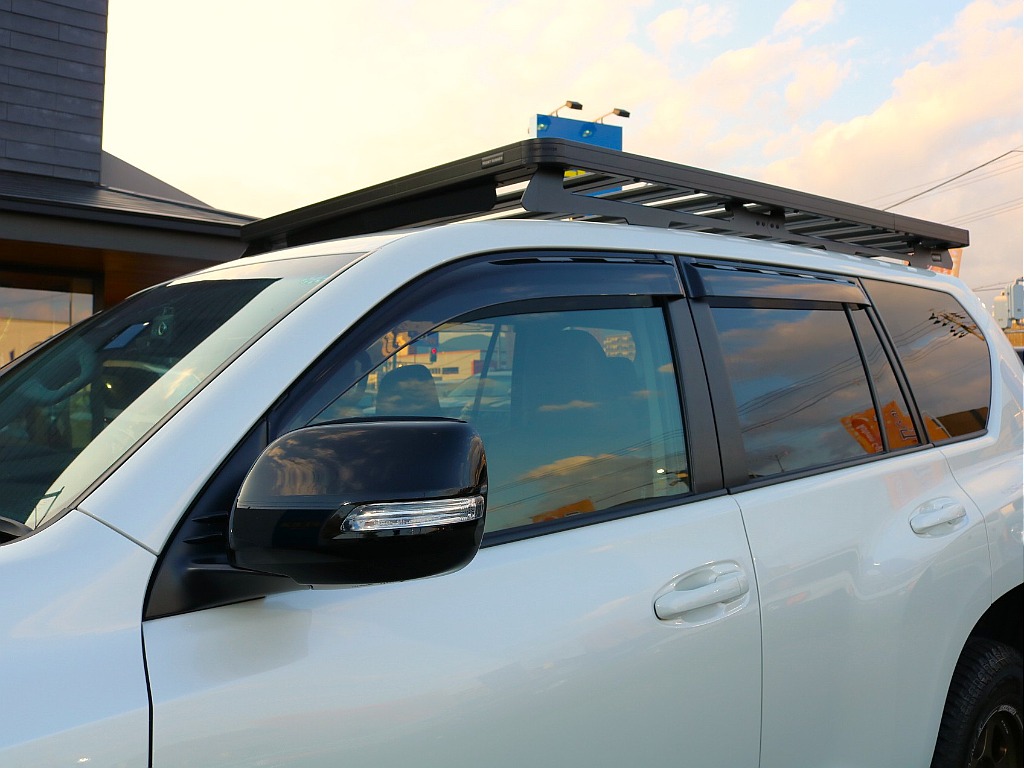 ドアバイザー付き。