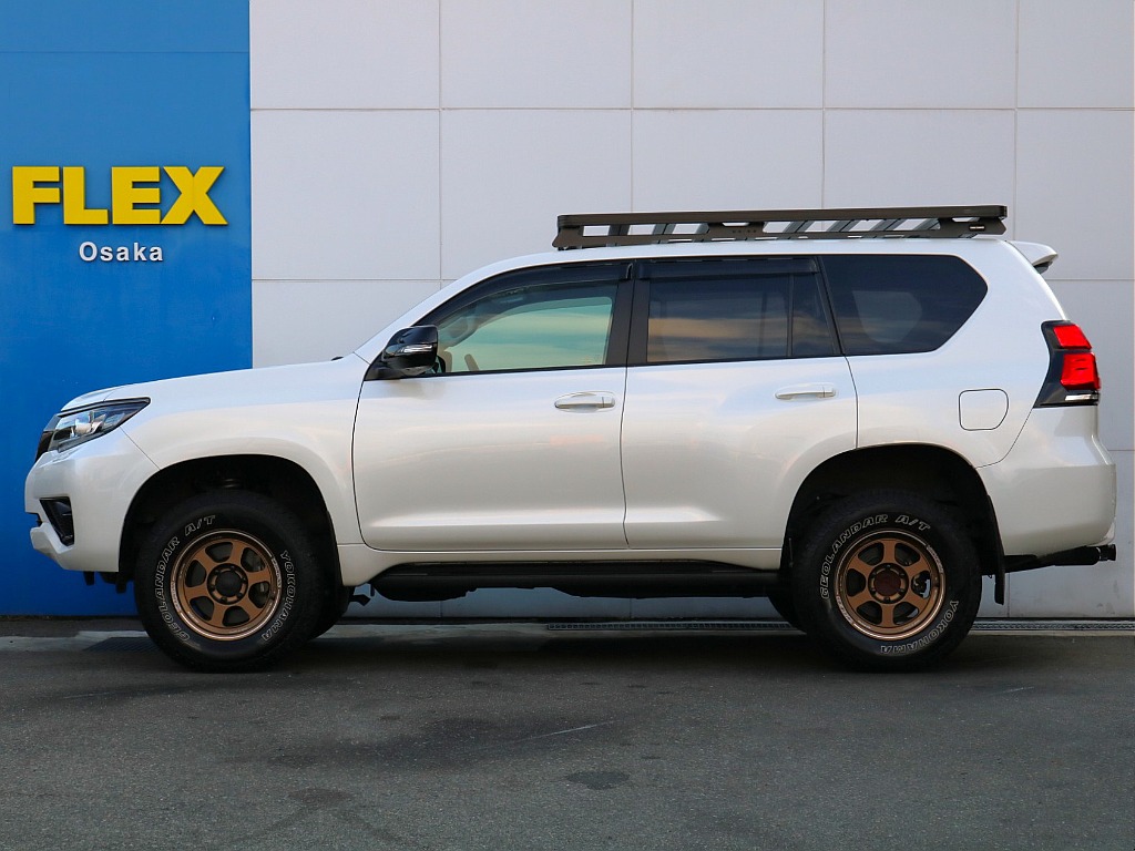 サイドステップ付き。