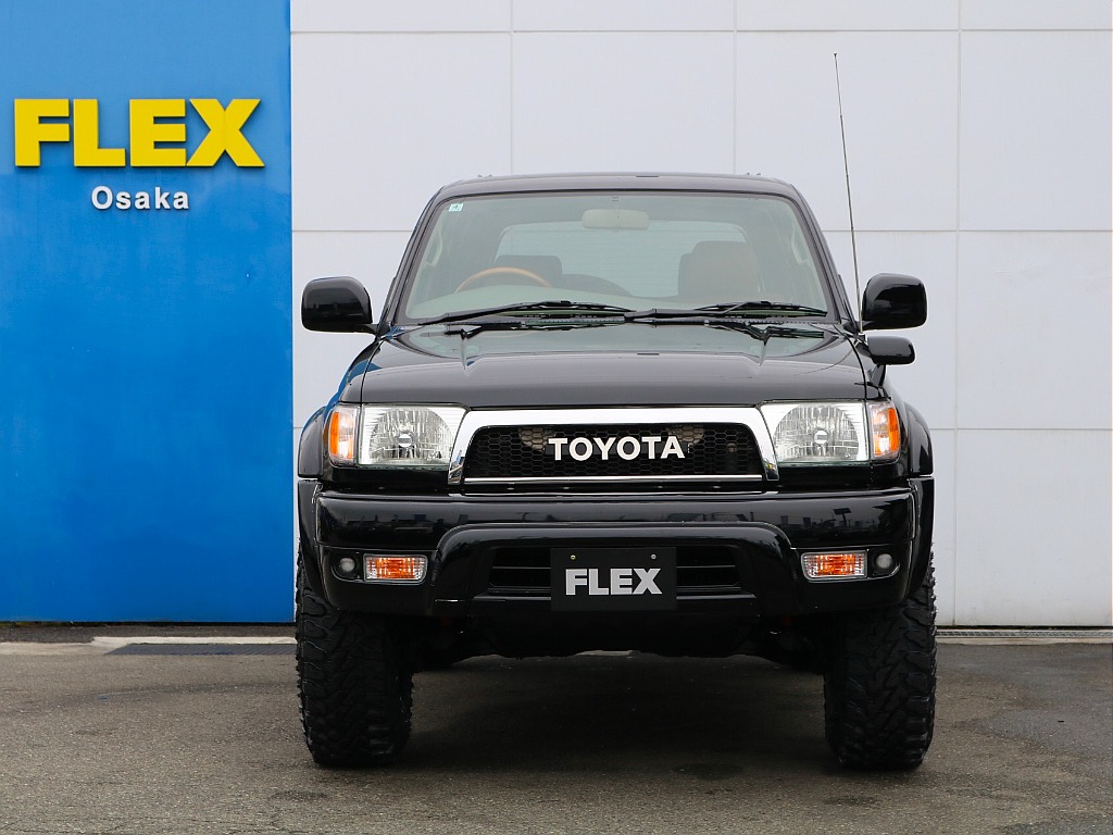 凛々しくもどこか懐かしい顔つきです。