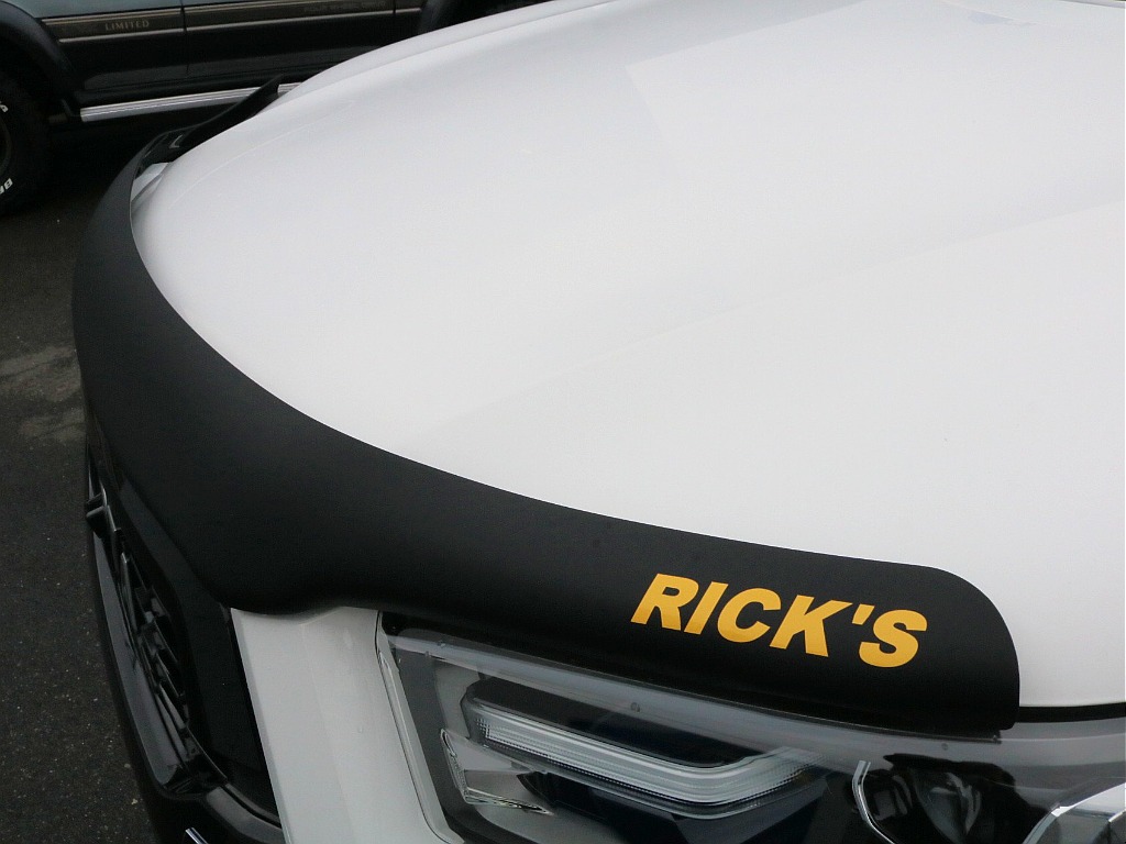 バグガード付き。