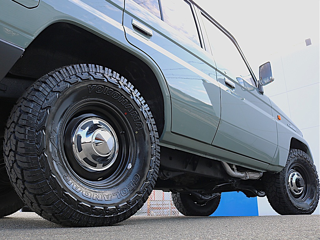 今にも乗り出したくなる車両です。