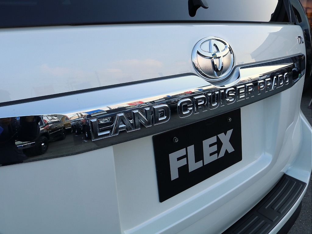 リアガーニッシュ