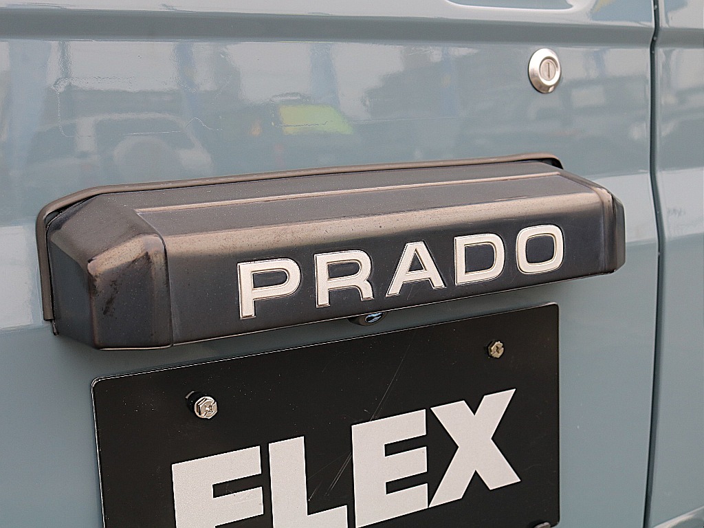 特有のナンバー灯カバー。