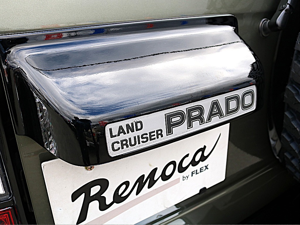 ナンバー灯カバーも艶有ブラック。