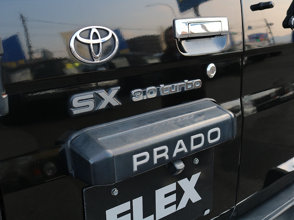 PRADOを主張するナンバー灯カバー。