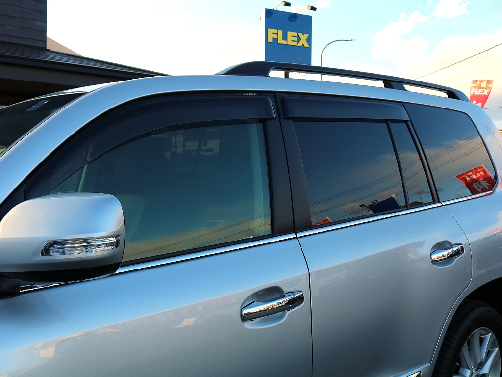 ドアバイザー付き