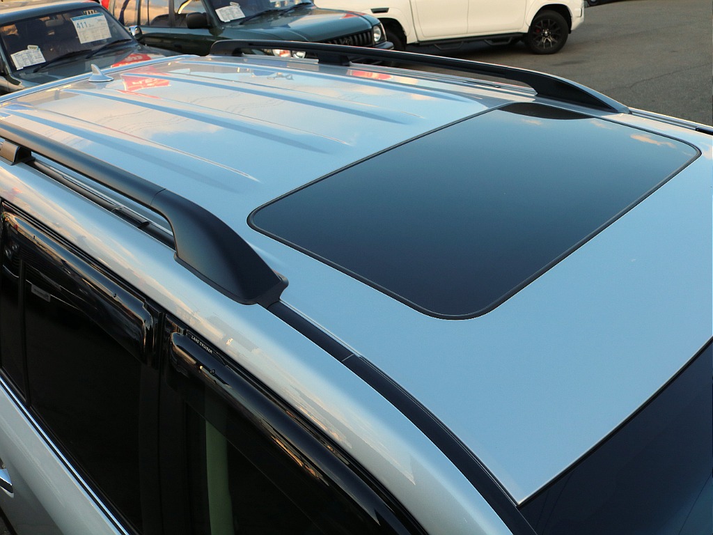 ブラックルーフレール