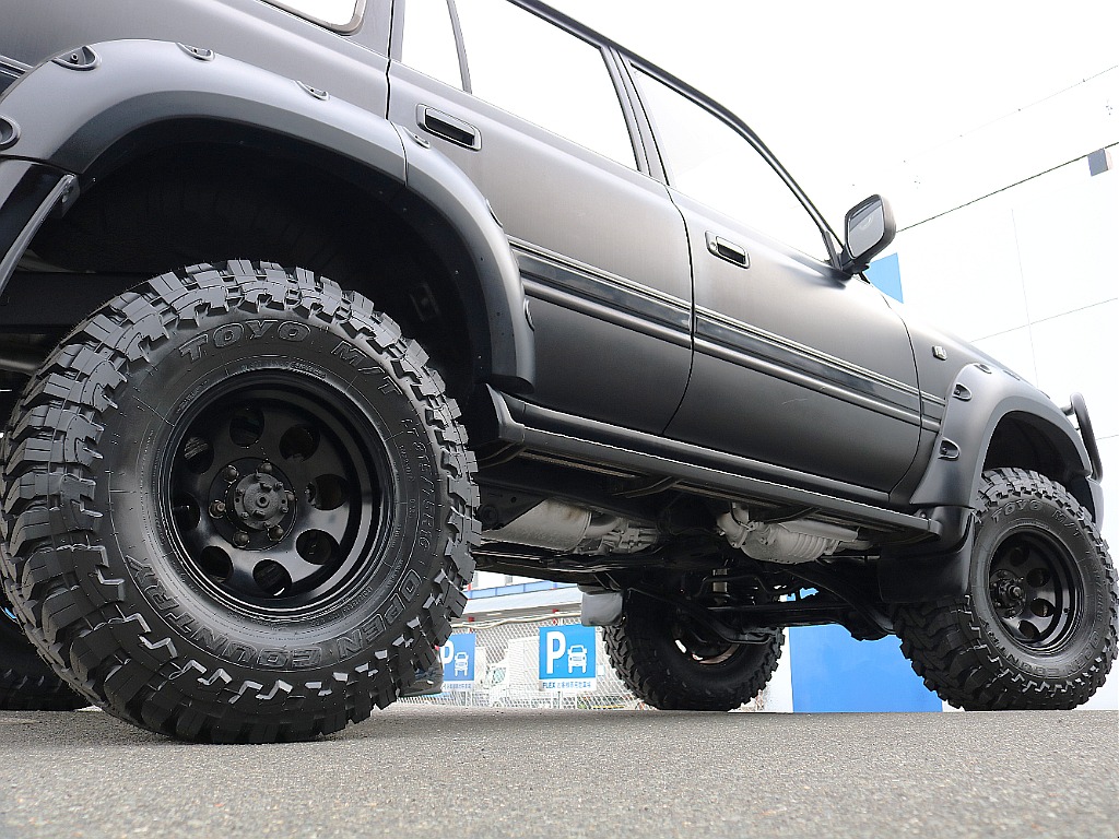 乗り出したくなる姿です。