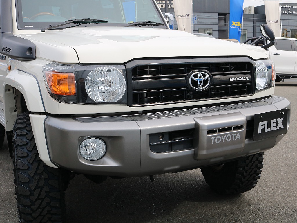 迫力のあるフロントフェイス！