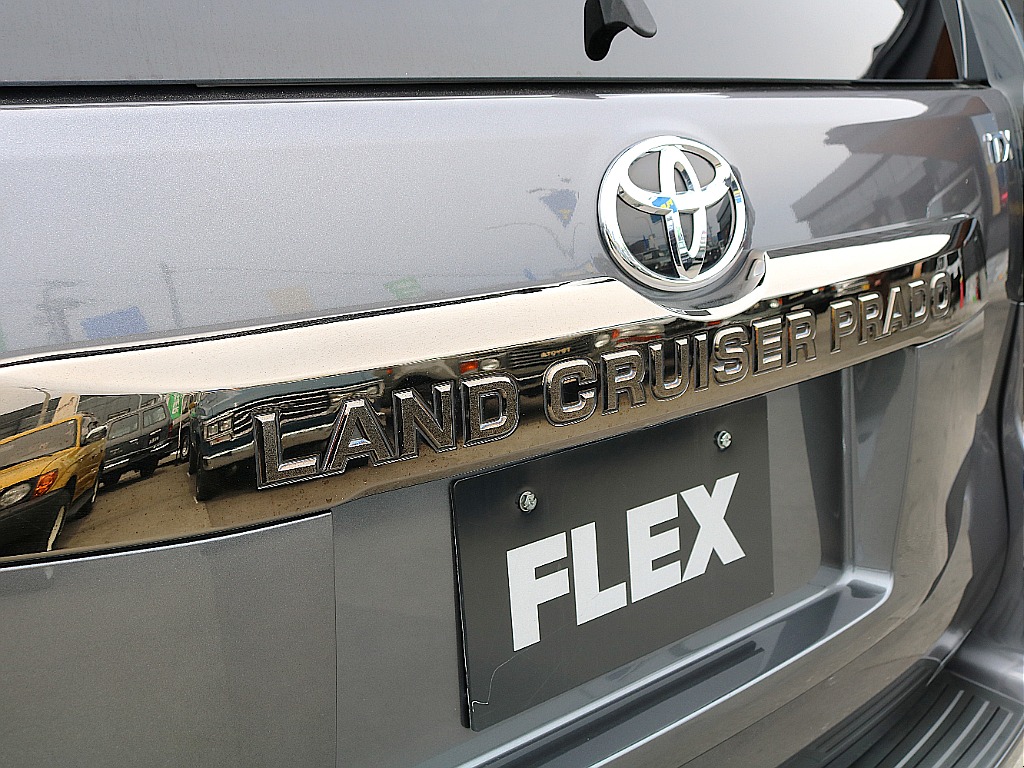 専用リアガーニッシュ。